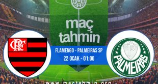 Flamengo - Palmeiras SP İddaa Analizi ve Tahmini 22 Ocak 2021