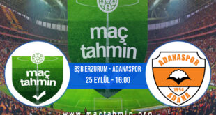 Bşb Erzurum - Adanaspor İddaa Analizi ve Tahmini 25 Eylül 2021