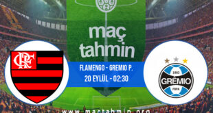 Flamengo - Gremio P. İddaa Analizi ve Tahmini 20 Eylül 2021