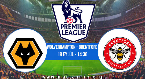 Wolverhampton - Brentford İddaa Analizi ve Tahmini 18 Eylül 2021