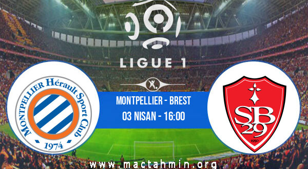 Montpellier - Brest İddaa Analizi ve Tahmini 03 Nisan 2022