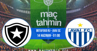 Botafogo RJ - Avai SC İddaa Analizi ve Tahmini 14 Haziran 2022