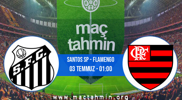 Santos SP - Flamengo İddaa Analizi ve Tahmini 03 Temmuz 2022