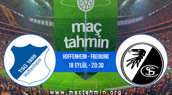 Hoffenheim - Freiburg İddaa Analizi ve Tahmini 18 Eylül 2022