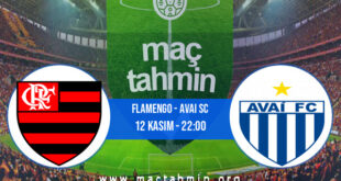 Flamengo - Avai SC İddaa Analizi ve Tahmini 12 Kasım 2022