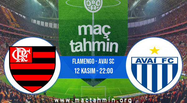 Flamengo - Avai SC İddaa Analizi ve Tahmini 12 Kasım 2022