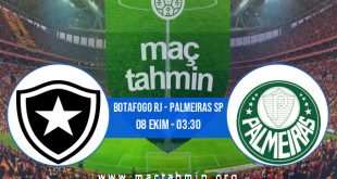 Botafogo RJ - Palmeiras SP İddaa Analizi ve Tahmini 08 Ekim 2020