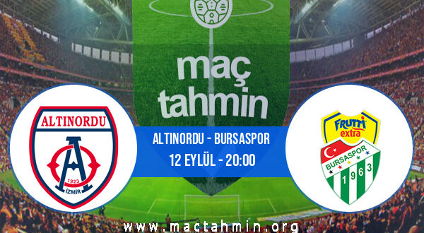 Altınordu - Bursaspor İddaa Analizi ve Tahmini 12 Eylül 2021