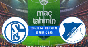 Schalke 04 - Hoffenheim İddaa Analizi ve Tahmini 14 Ekim 2022
