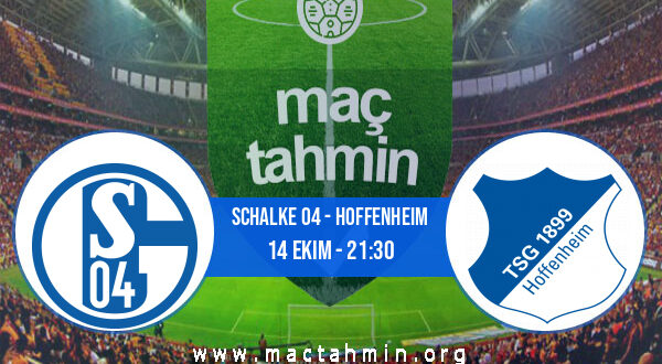 Schalke 04 - Hoffenheim İddaa Analizi ve Tahmini 14 Ekim 2022